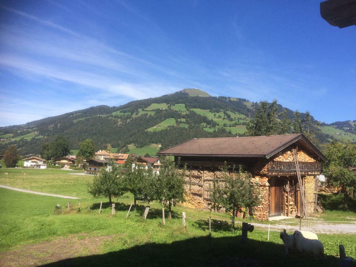 Holaus Apartment Westendorf