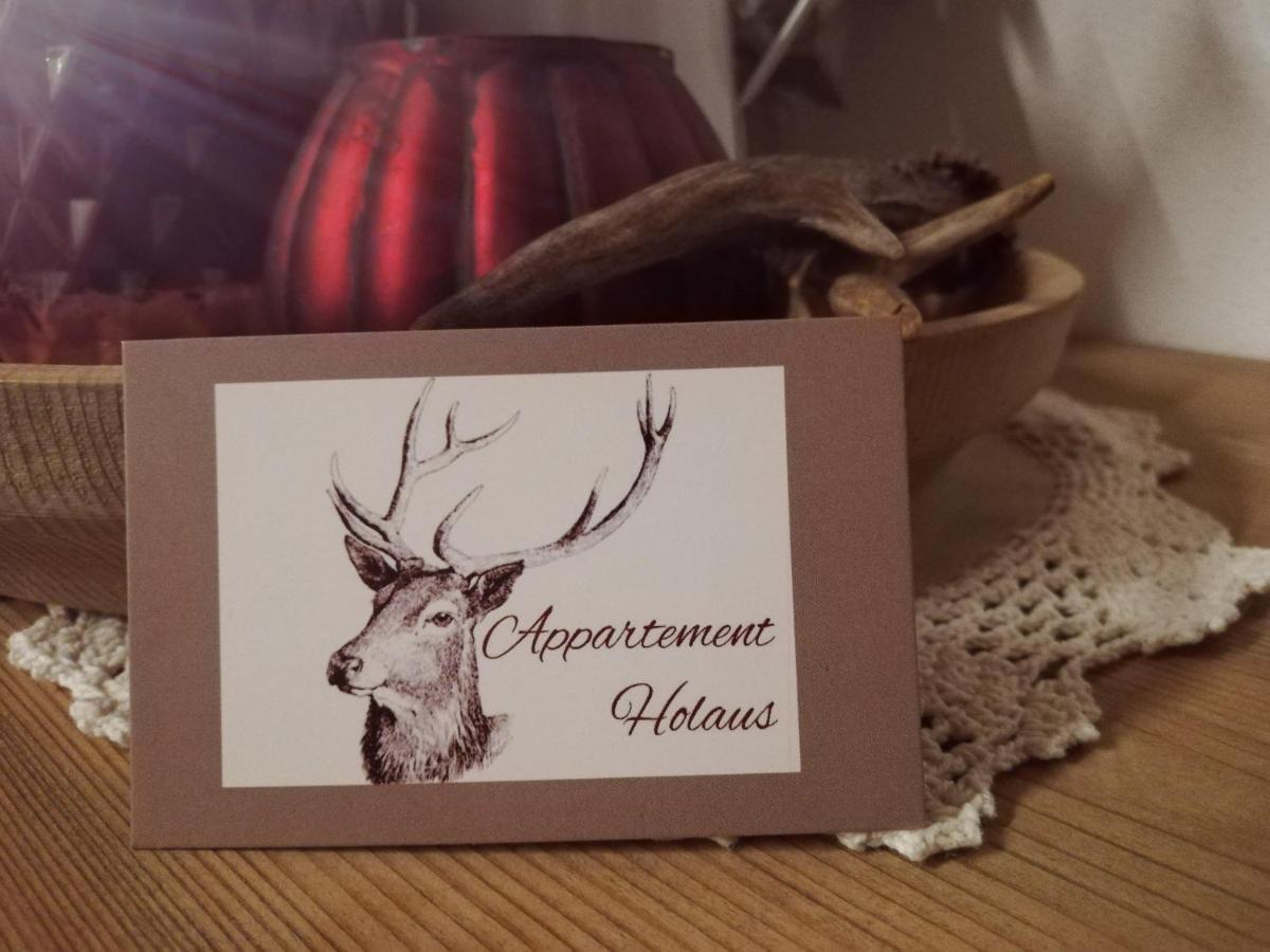 Apartment Holaus